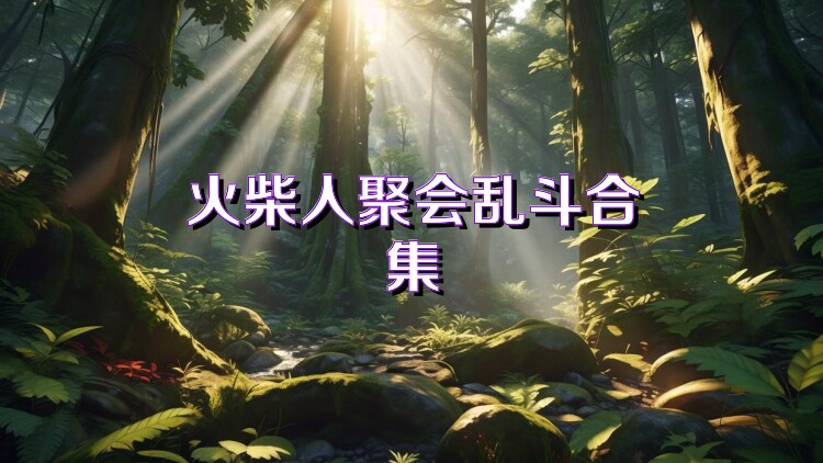 火柴人聚会乱斗合集