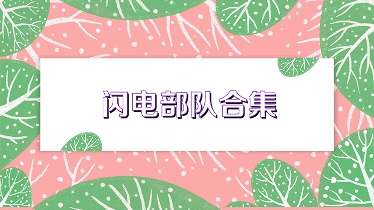 闪电部队合集