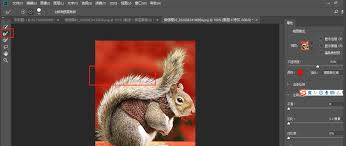 photoshop如何快速抠动物毛发
