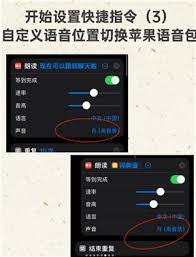 如何开启deepseek语音对话