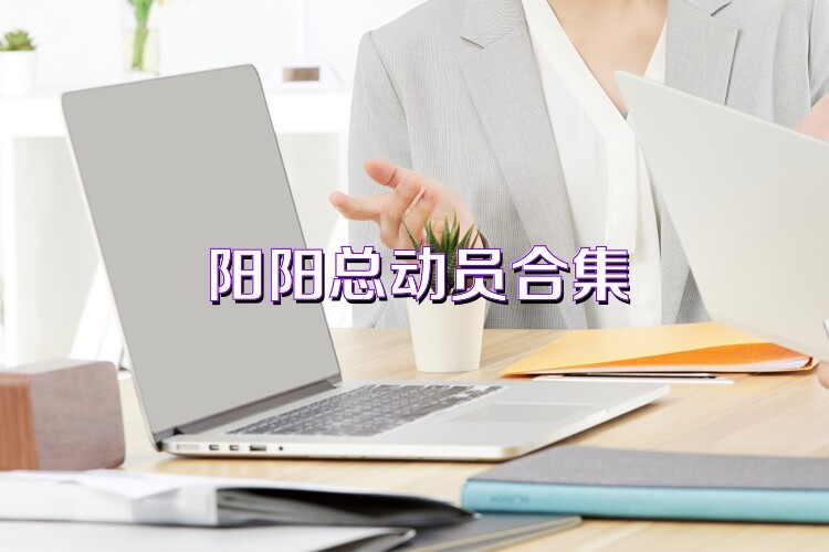 阳阳总动员合集
