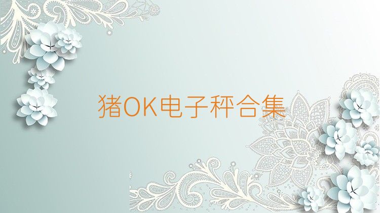猪OK电子秤合集