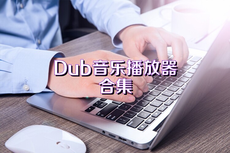 Dub音乐播放器合集