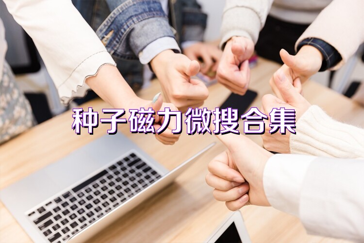 种子磁力微搜合集