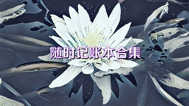 随时记账本合集