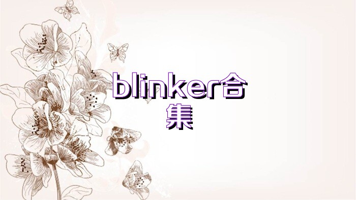 blinker合集