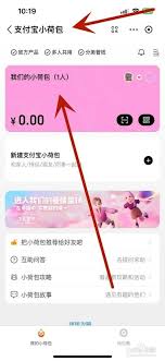 支付宝小荷包自动攒的钱存放在哪