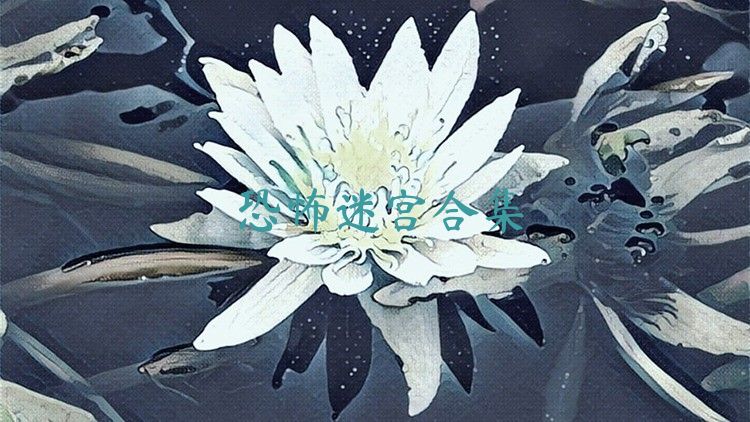 恐怖迷宫合集