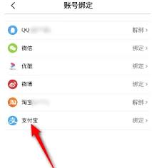 大麦app如何绑定支付方式