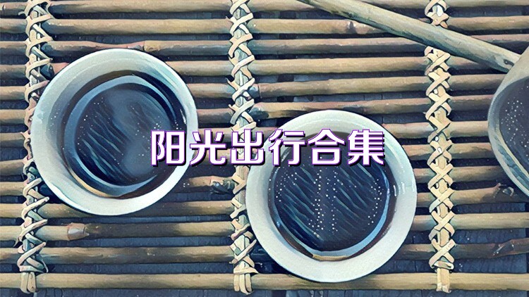 阳光出行合集