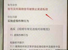 视频号私信如何实现分流