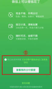如何查询微信分付借款记录
