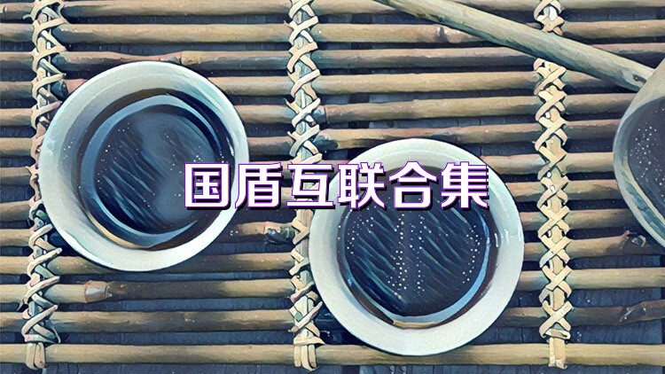 国盾互联合集