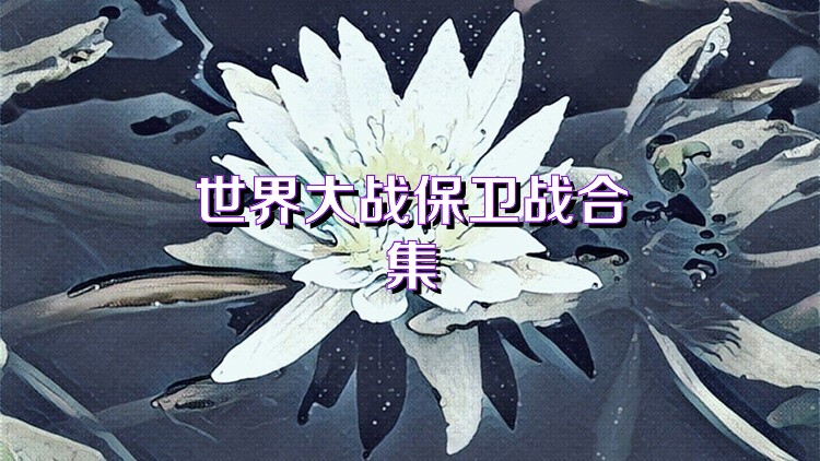 世界大战保卫战合集
