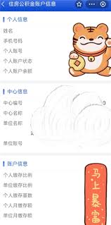 支付宝公积金缴费记录查不到怎么办