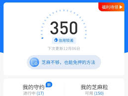 支付宝芝麻粒过期时间是多久