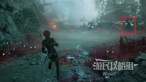 光与影33号远征队雷灵支线任务怎么过